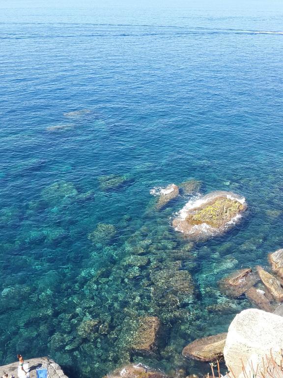 La Casa Del Gallerista Manarola Ngoại thất bức ảnh